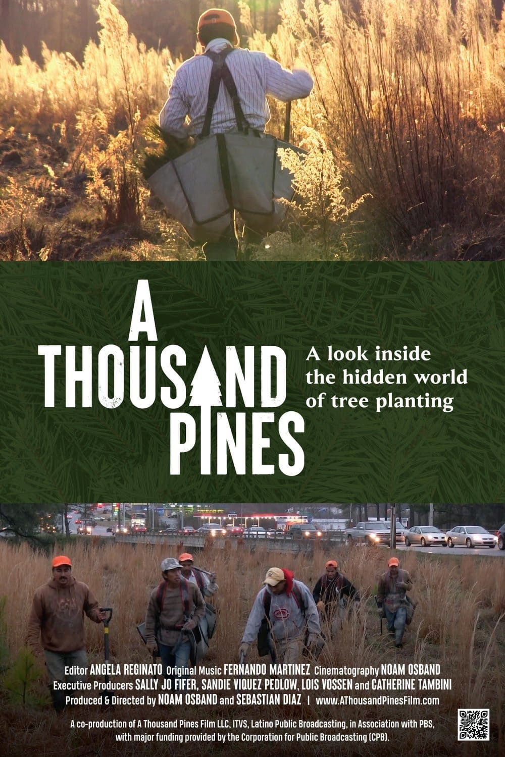 A Thousand Pines