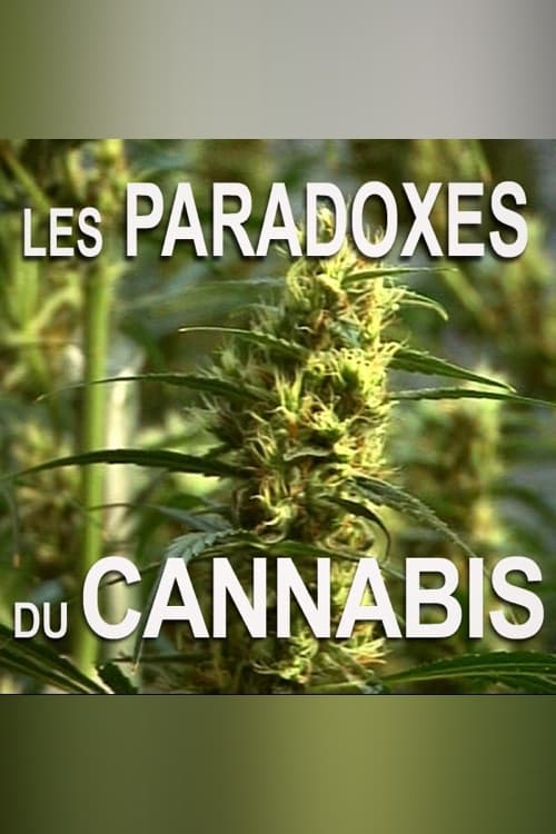 Les paradoxes du cannabis