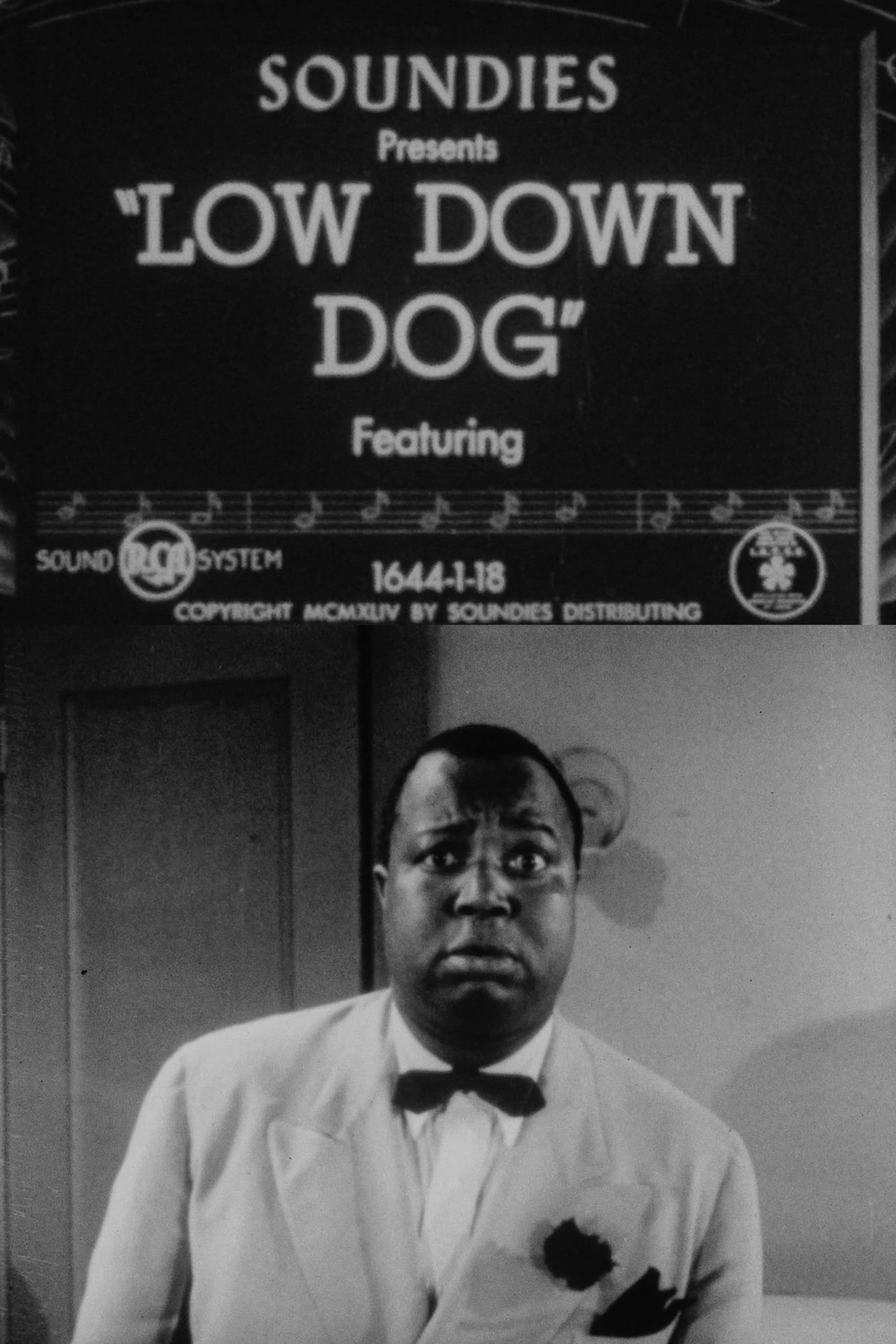 Low Down Dog