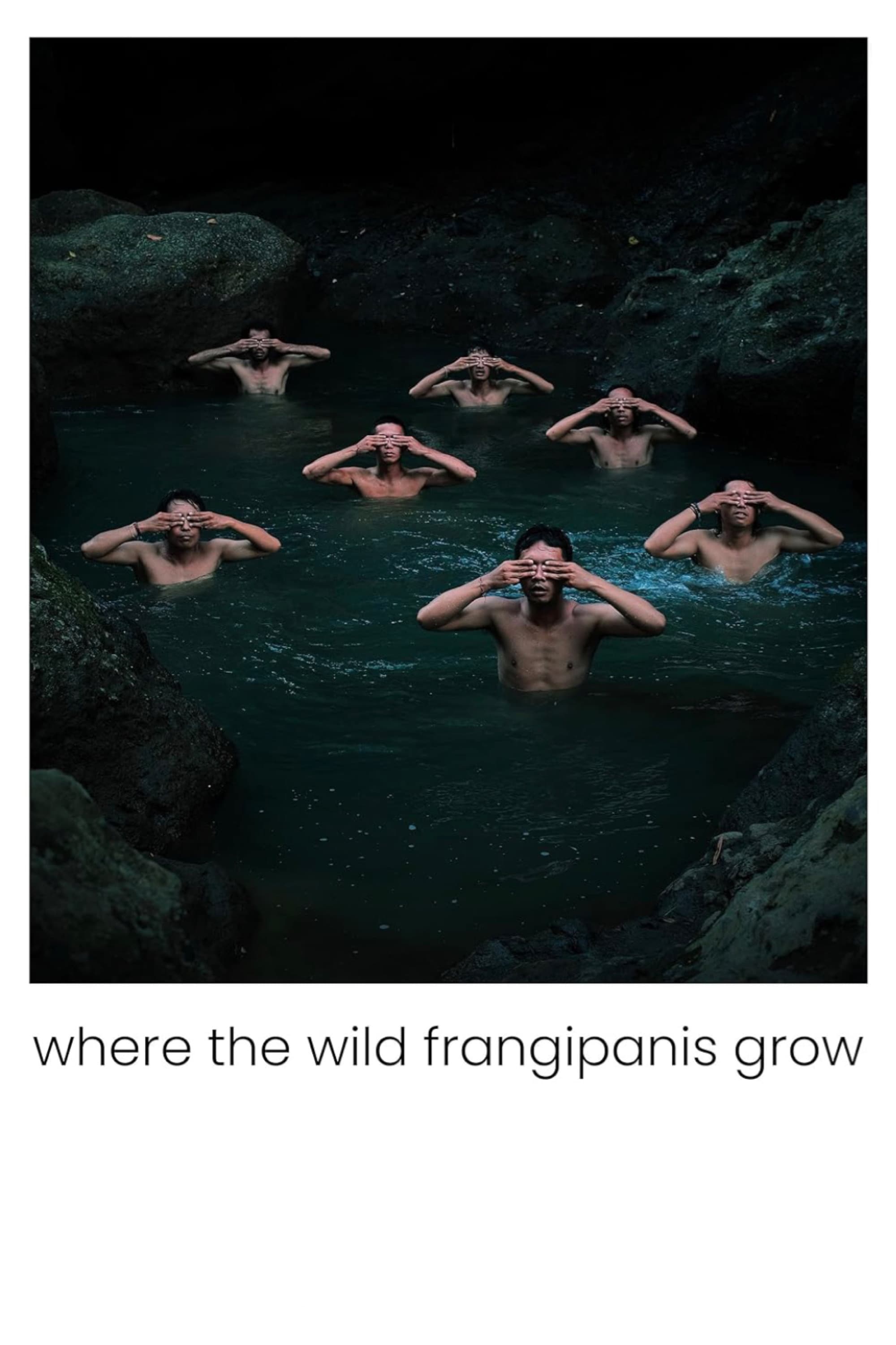 Where The Wild Frangipanis Grow