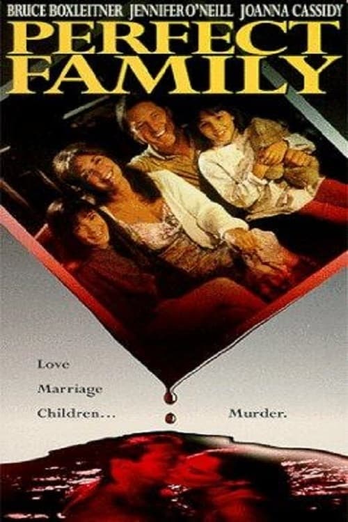 Perfect Family (1992)