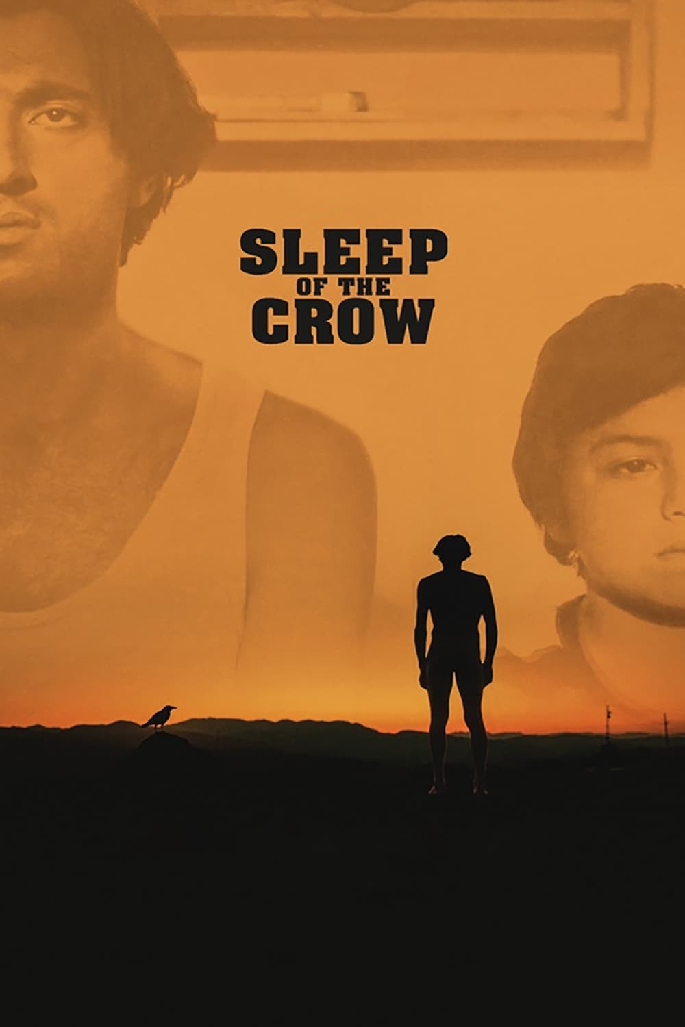 Sleep of the Crow