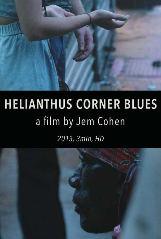 Helianthus Corner Blues