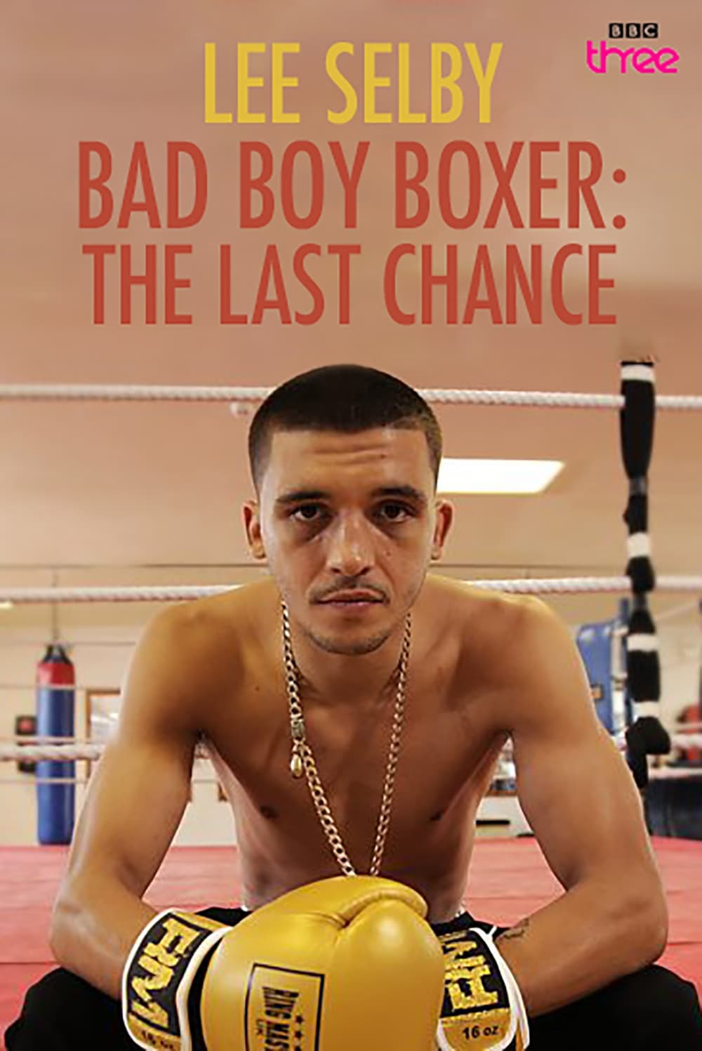 Bad Boy Boxer: The Last Chance