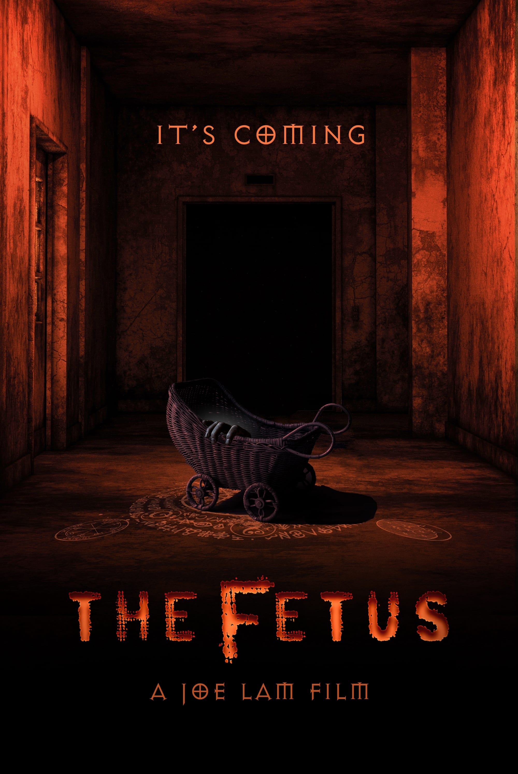 The Fetus