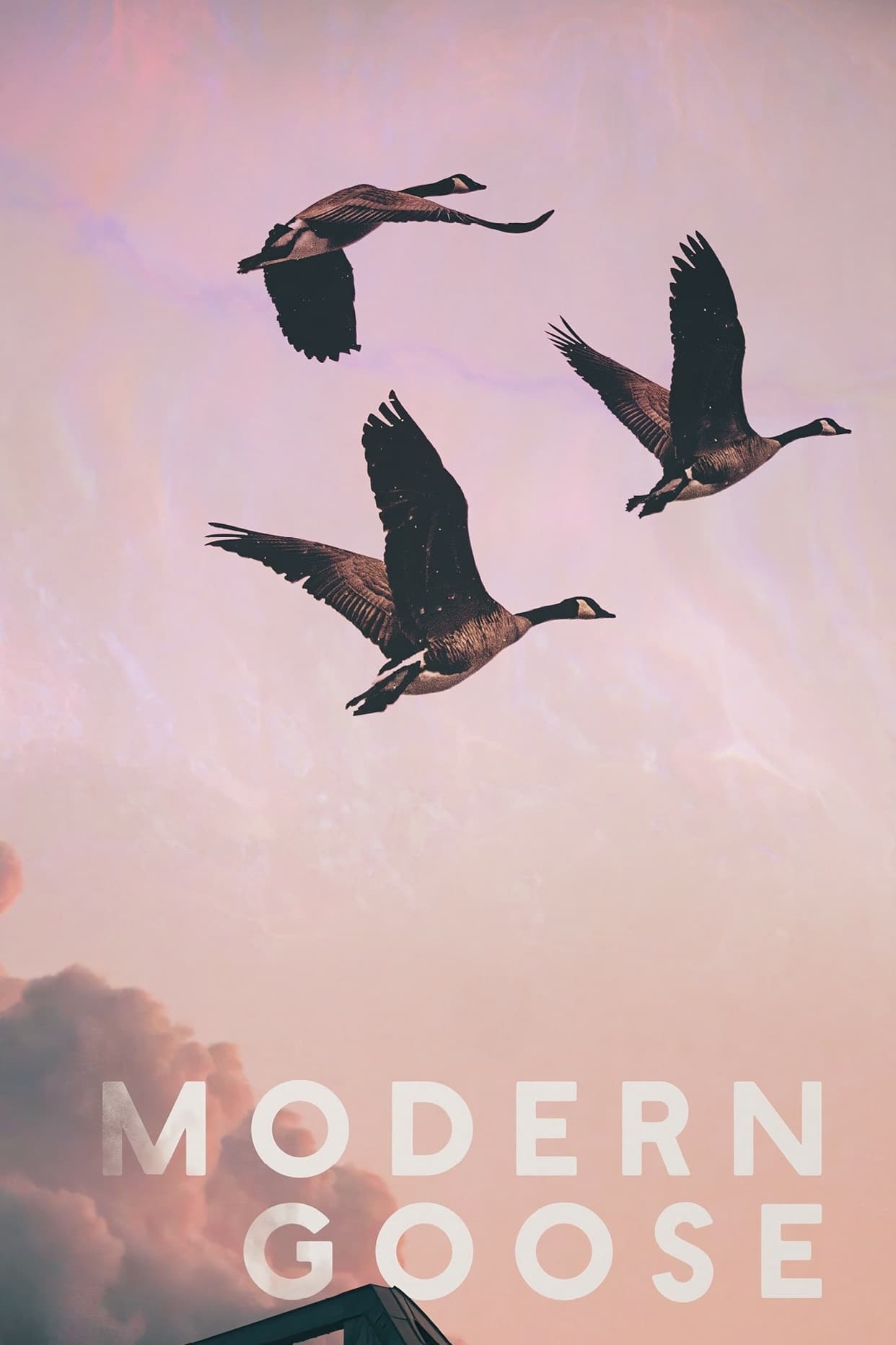 Modern Goose