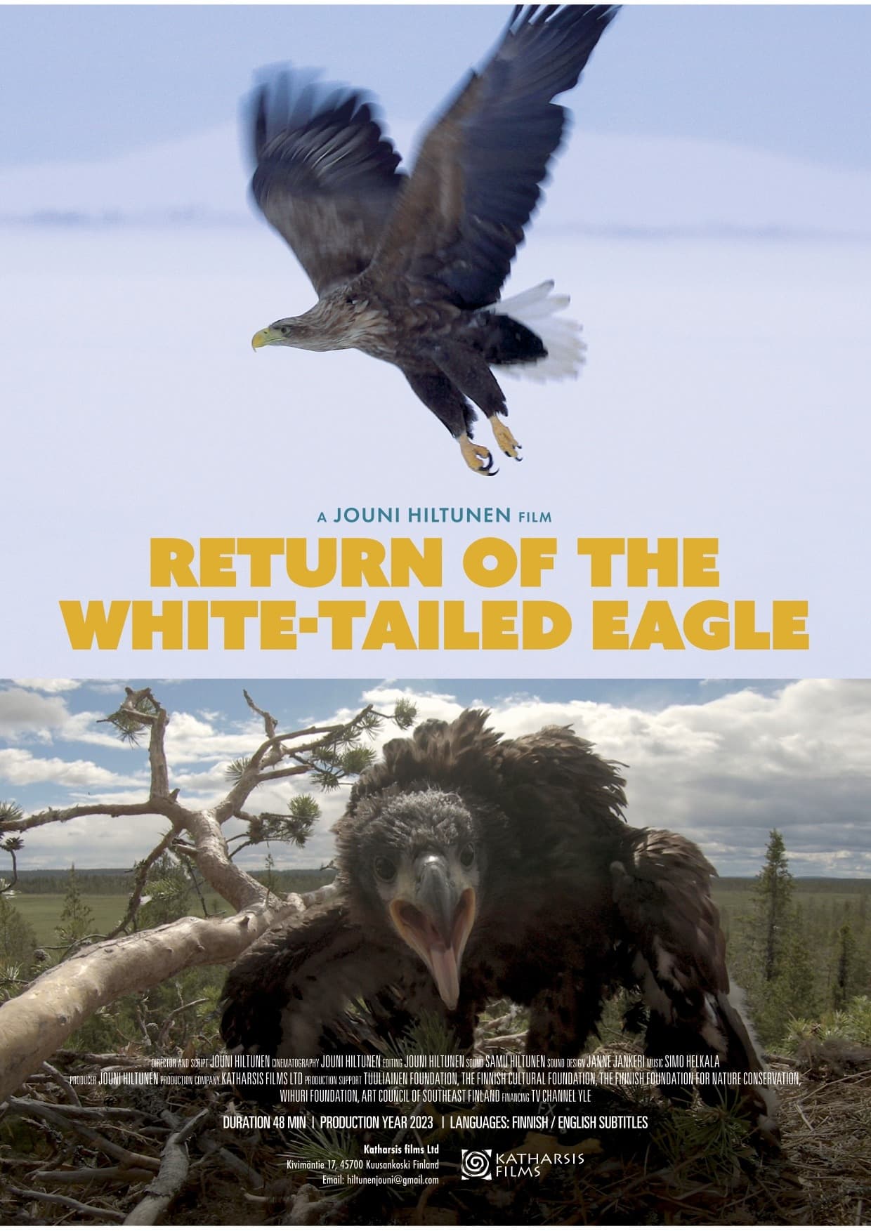 Return of the White-tailed Eagle