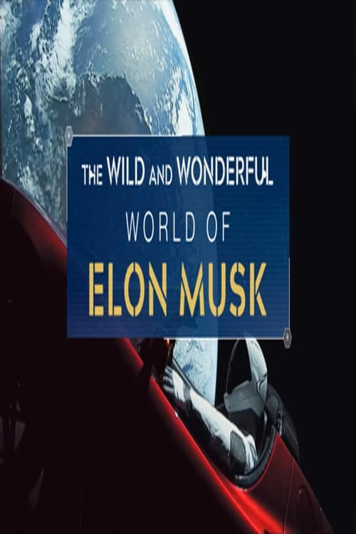 The Wild and Wonderful World of Elon Musk