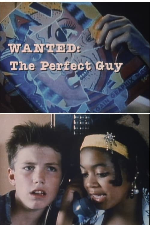 Wanted: The Perfect Guy