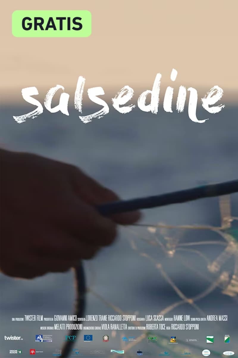 Salsedine