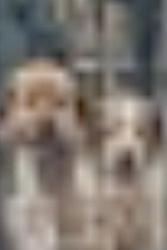 The More I Zoom in on the Image of These Dogs, The Clearer it Becomes That They Are Related to the Stars.