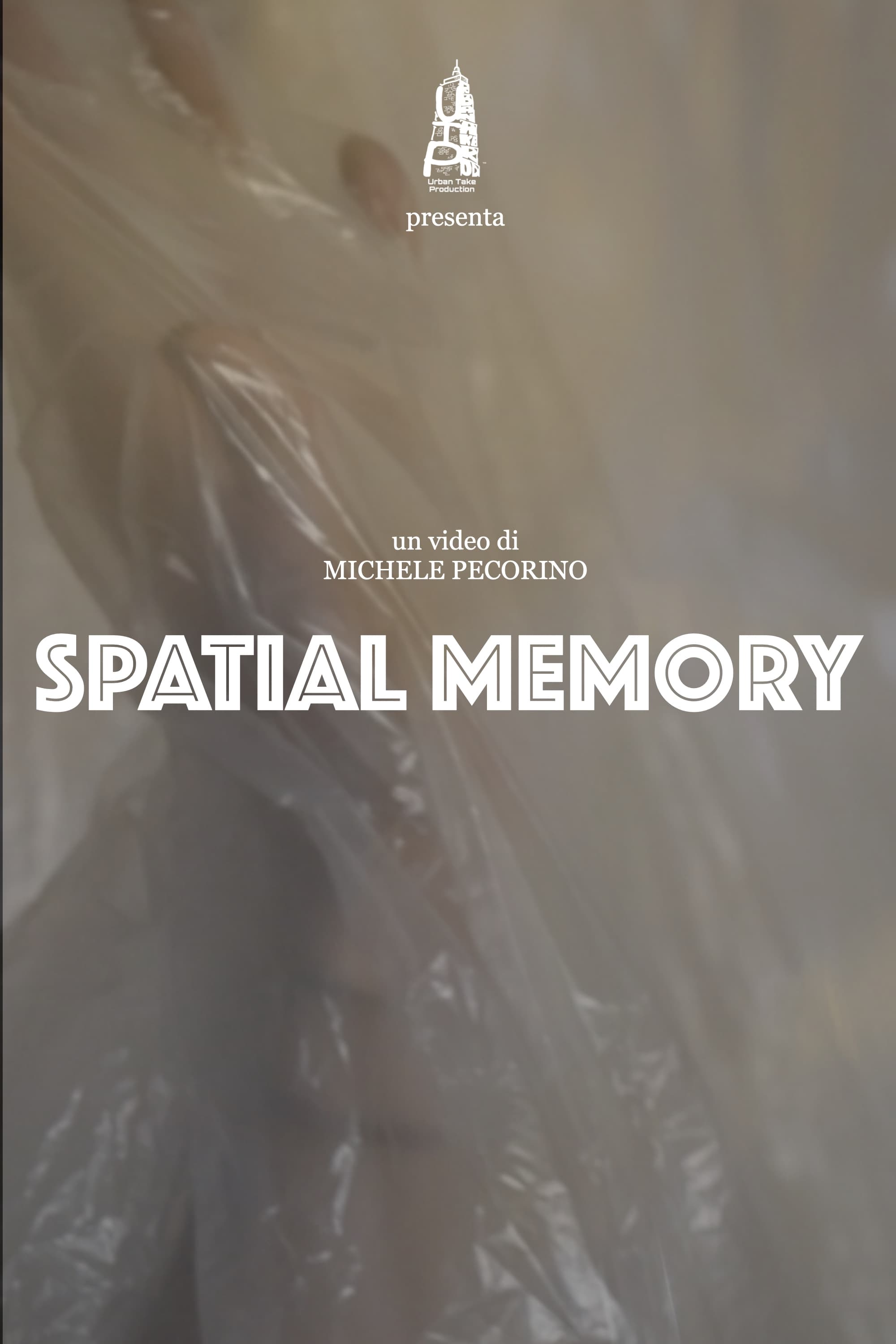 Spatial Memory