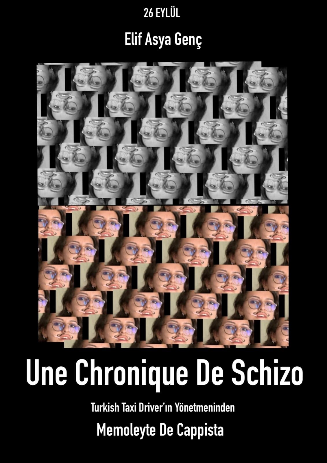 Chronic of Schizo