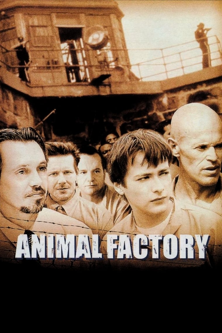 Fábrica de Animais (2000)