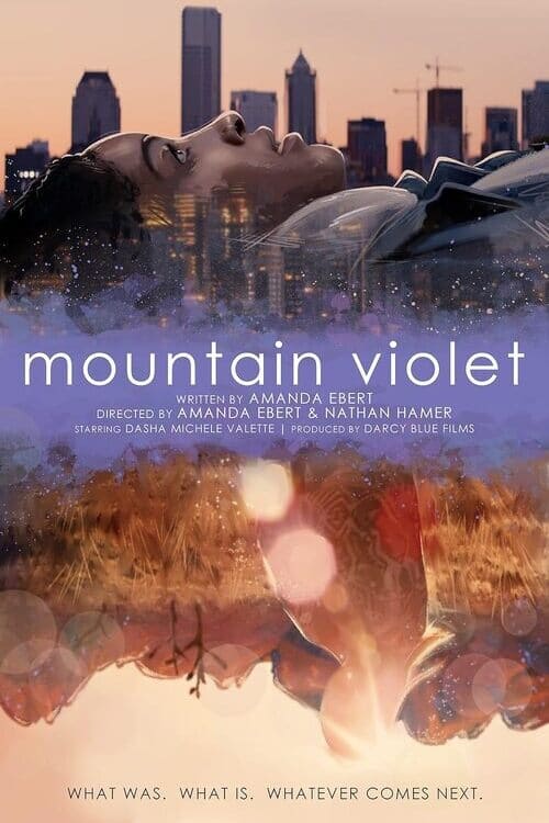 Mountain Violet