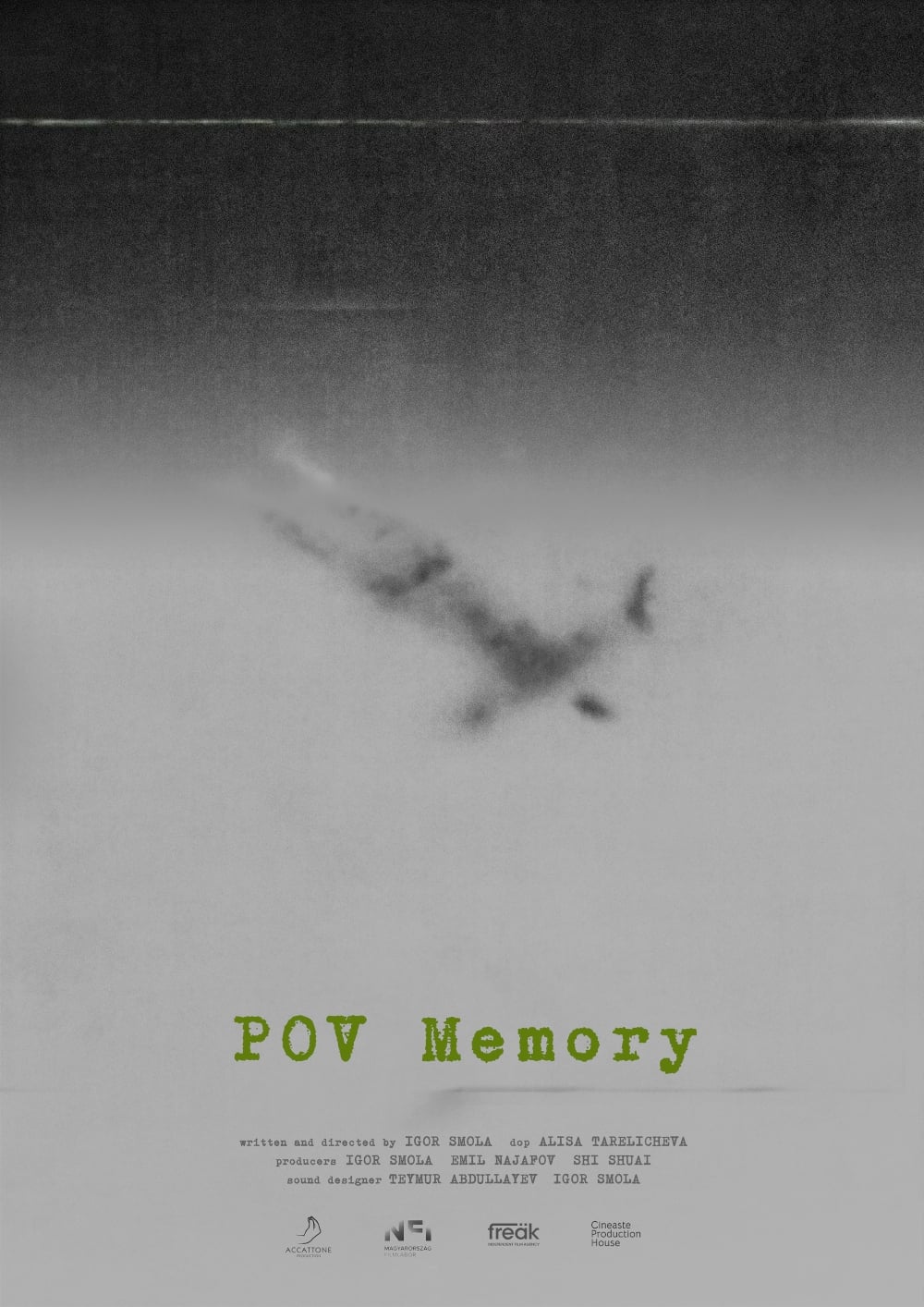 POV Memory