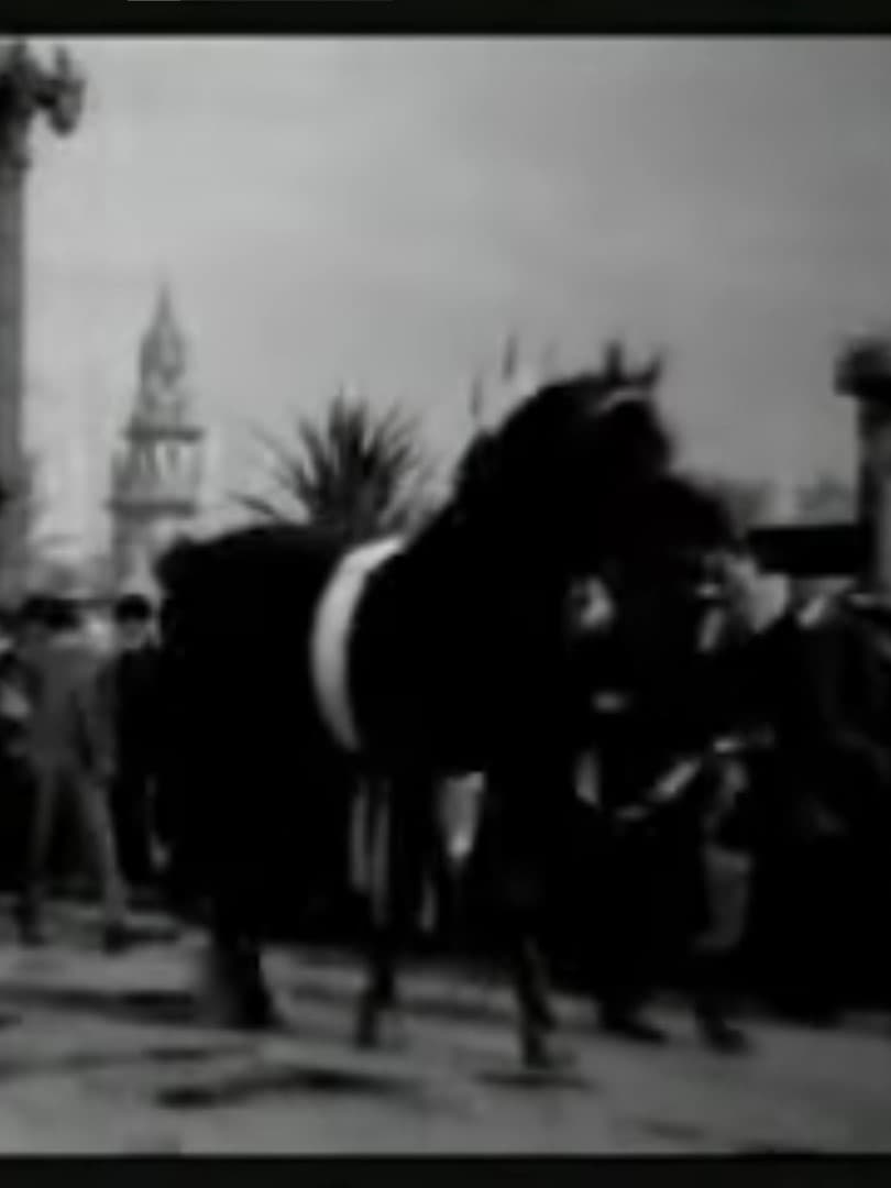 Horse Parade at the Pan-American Exposition