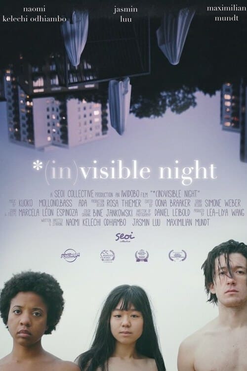 *(In)Visible Night