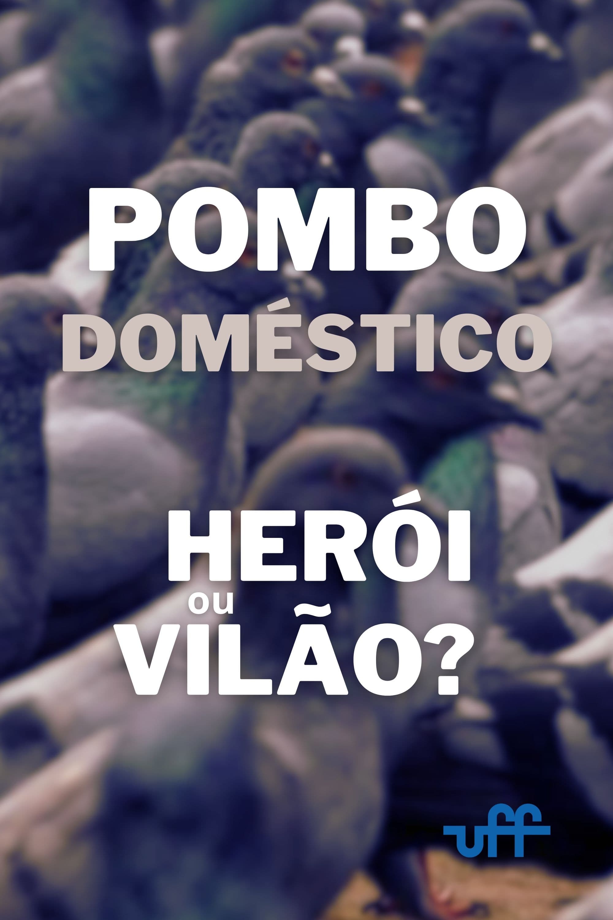 Pombo Doméstico: Herói ou Vilão?