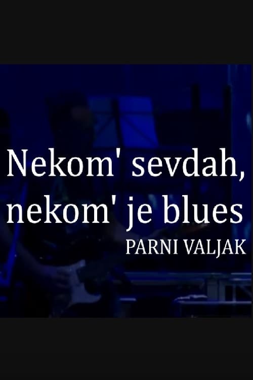 To Some It Is Sevdah, to Some It Is Blues
