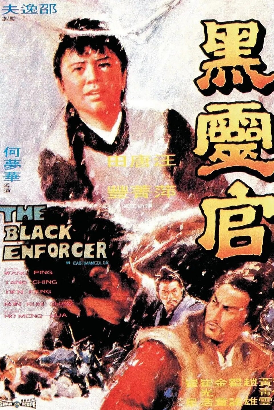The Black Enforcer (1972)