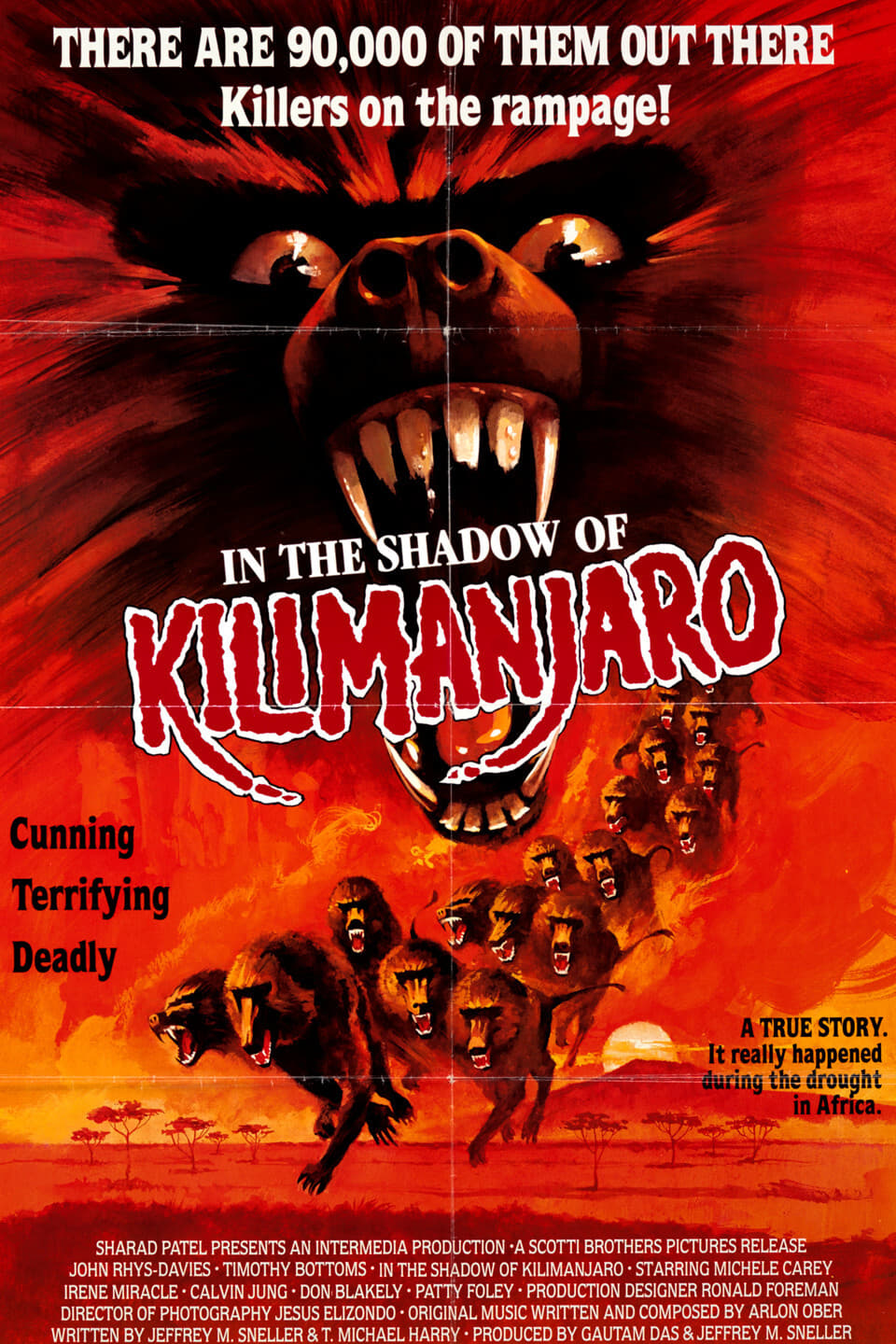 In the Shadow of Kilimanjaro (1986)
