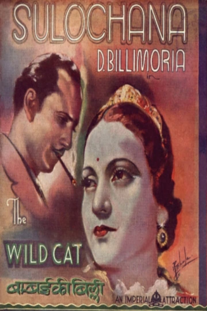 Wildcat of Bombay
