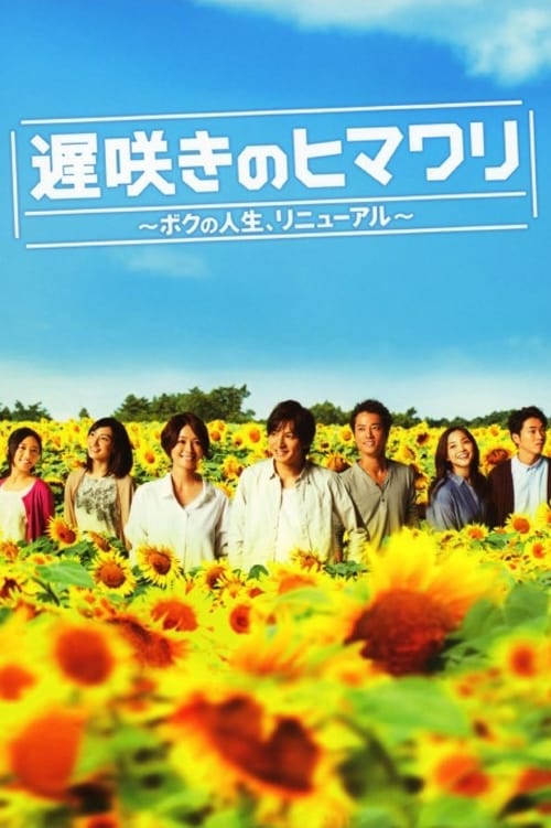 Late Blooming Sunflower My Life Renewed (2012)