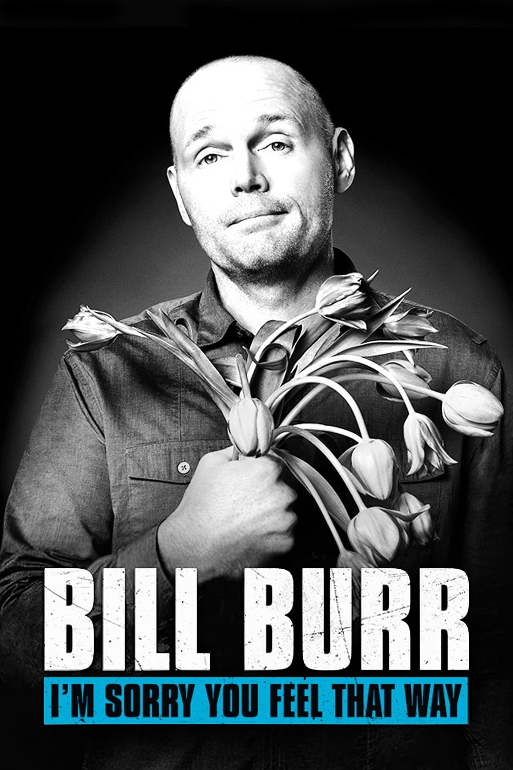 Bill Burr: I'm Sorry You Feel That Way (2014)