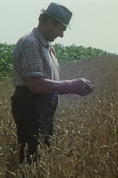 Mikolaš Farmer Worker's First Holidays