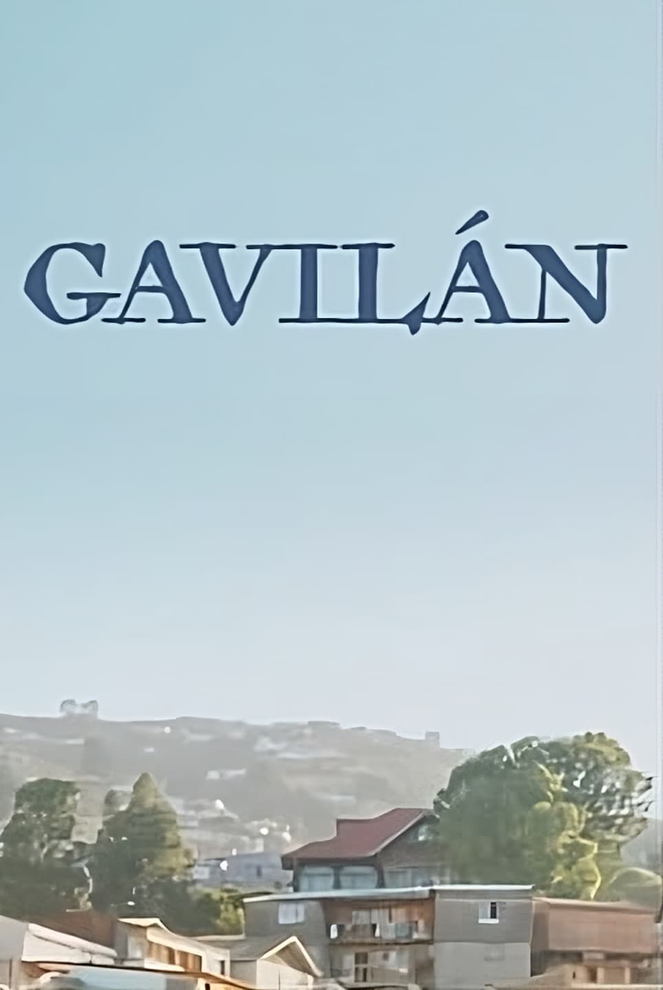 Gavilàn