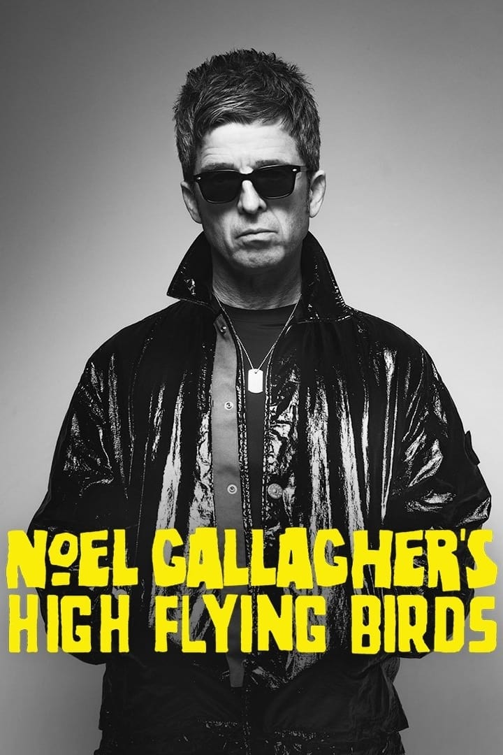 Noel Gallagher's High Flying Birds en concert au Zénith de Paris